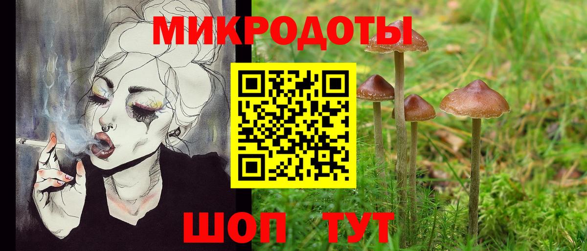 МЕФ Лыткарино