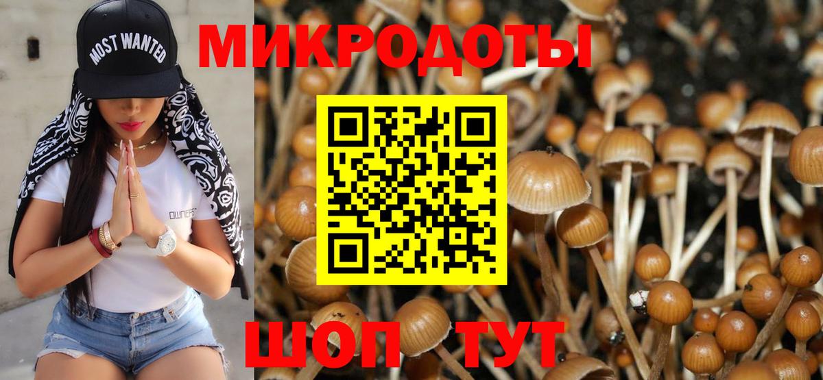 Псилоцибиновые грибы ЛСД  Вход с VPN  Лыткарино 